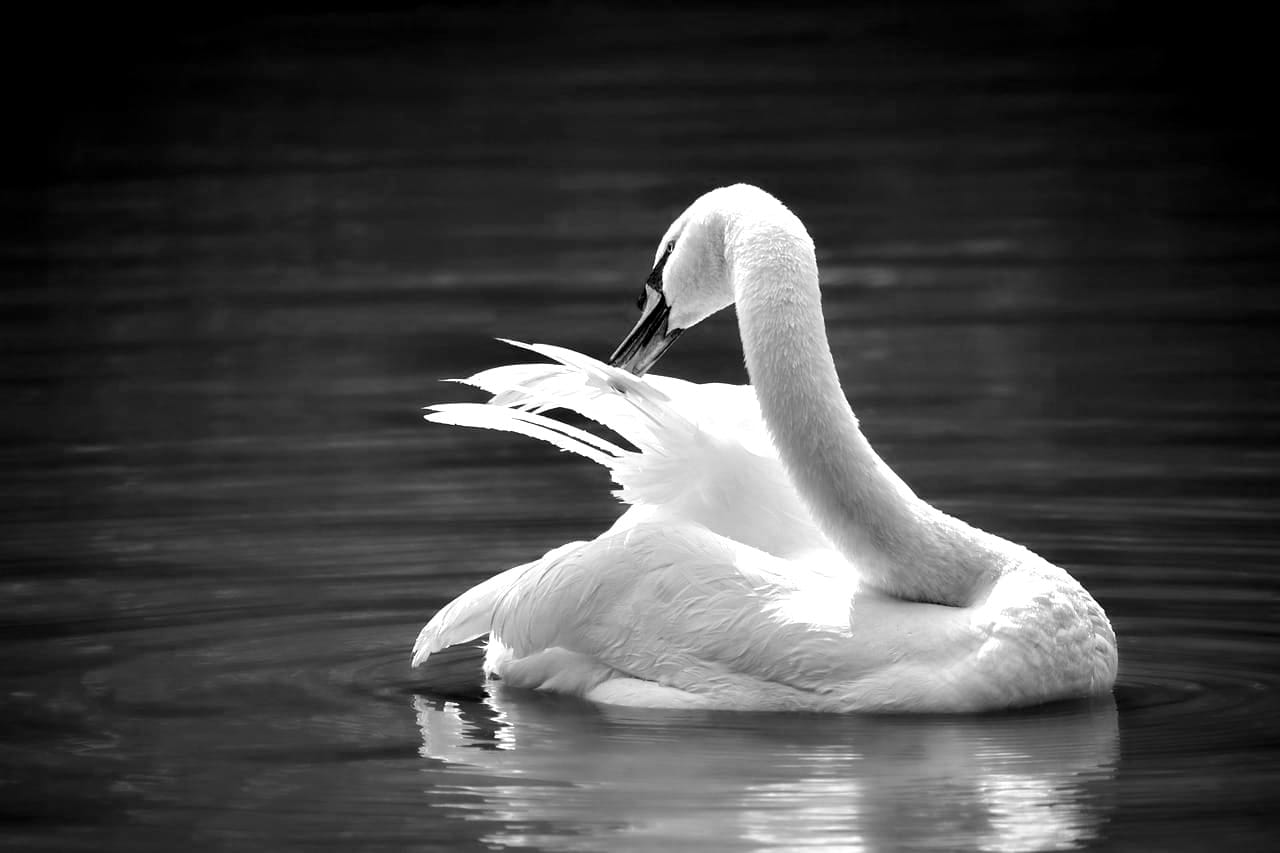 Ο φίνος και εκλεπτυσμένος τρόπος να κάνουμε τα πράγματα
