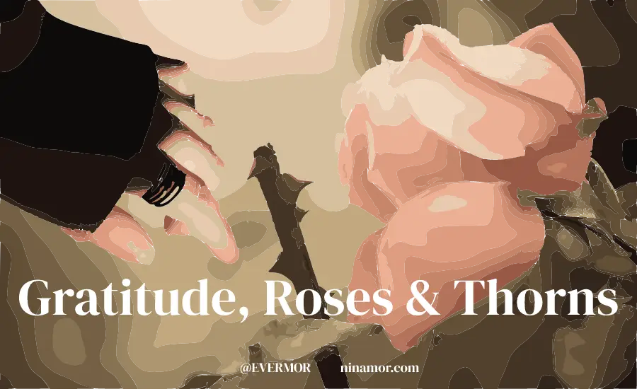 On Gratitude, Roses and Thorns